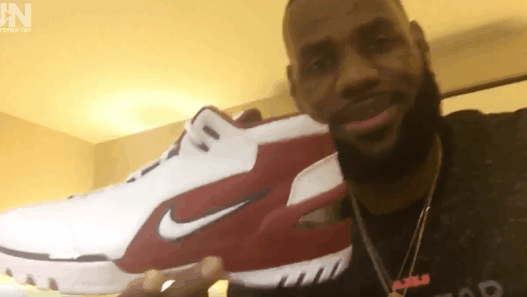 LeBron James retro : Air Zoom Generation