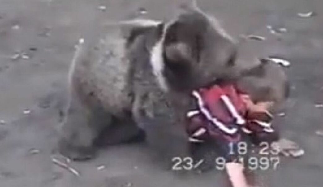 Quand Khabib Nurmagomedov s’entraînait contre des ours à 9 ans