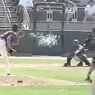 Quand Randy Johnson explosait un oiseau en plein match