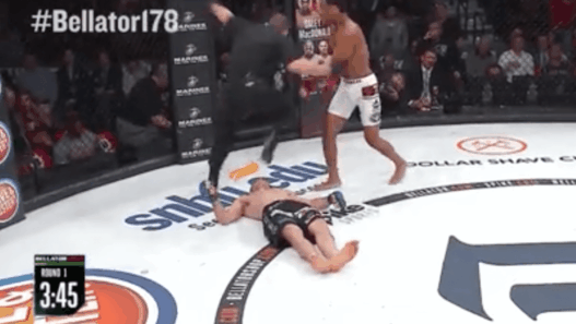 AJ McKee termine Dominic Mazzotta d’une merveille de head kick