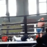 Lors du championnat de Muay Thai, l’arbitre se fait mettre KO
