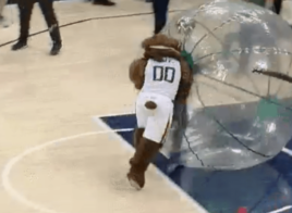 La mascotte du Jazz défonce un fan des Clippers qui avait embêté un gamin
