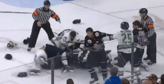 Grosse bagarre générale entre les Orlando Solar Bears et les Florida Everblades