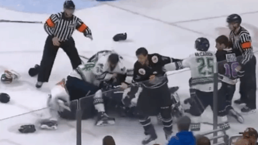 Grosse bagarre générale entre les Orlando Solar Bears et les Florida Everblades