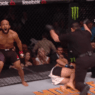 UFC 197 – Demetrious Johnson vs. Henry Cejudo