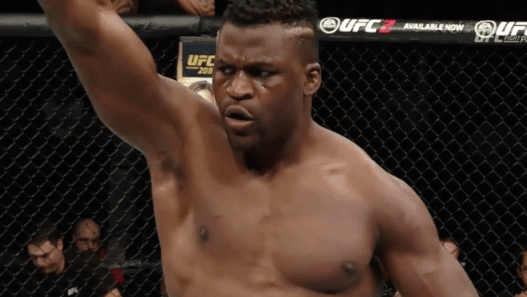 Francis Ngannou pas impressionné par la victoire de Stipe Miocic