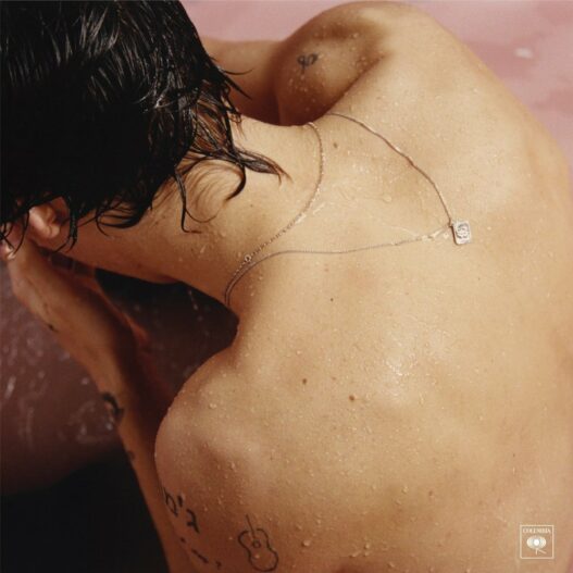 Harry Styles – le leader de One Direction dévoile son premier album