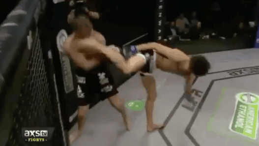 Le KO du futur de Sean O'Malley contre David Nuzzo