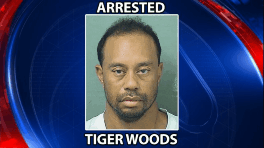 Tiger Woods était en fait endormi au moment de son interpellation