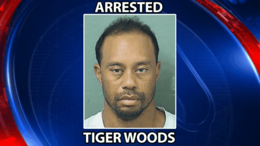 Tiger Woods était en fait endormi au moment de son interpellation
