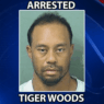 Tiger Woods était en fait endormi au moment de son interpellation