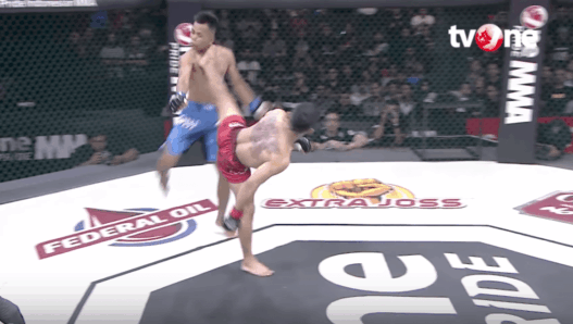spinning head kick One Pride MMA