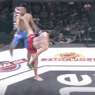 spinning head kick One Pride MMA