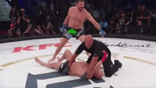 Matt Mitrione l’emporte contre Fedor Emelianenko par KO