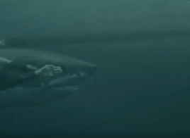 Michael Phelps a perdu sa course face au grand requin blanc