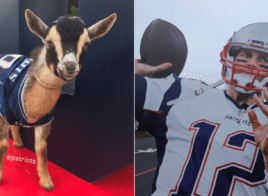 Pour l’anniversaire de Tom Brady, les Patriots ramène des « GOATS »