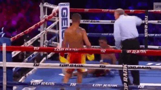 Vasyl Lomachenko en démonstration totale face à Miguel Marriaga