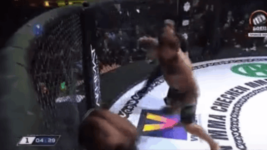 Alexander Emelianenko s’impose en 36s pour son grand retour