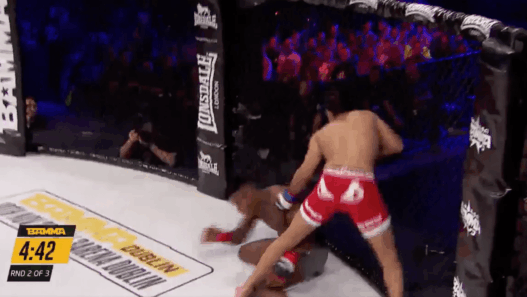 Damien Lapilus remettait en jeu ce soir sa ceinture face à l'anglais Daniel Crawford lors du Bamma 31.