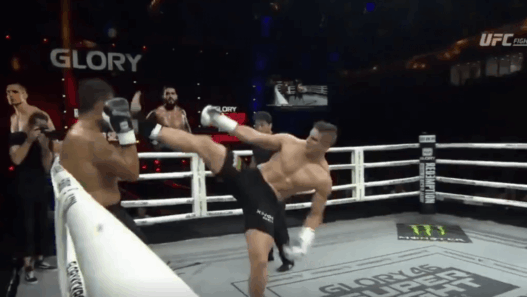 Comme prévu, Bigfoot Silva s’est fait défoncer par Rico Verhoeven