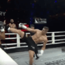 Comme prévu, Bigfoot Silva s’est fait défoncer par Rico Verhoeven