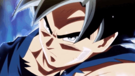 Dragon Ball Super Goku Instinct