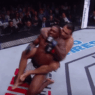 Fabricio Werdum règle Walt Harris en 66 secondes