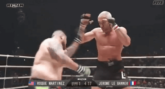 Jerome Le Banner Roque Martinez
