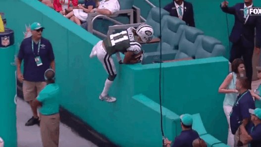 Robby Anderson Dolphins