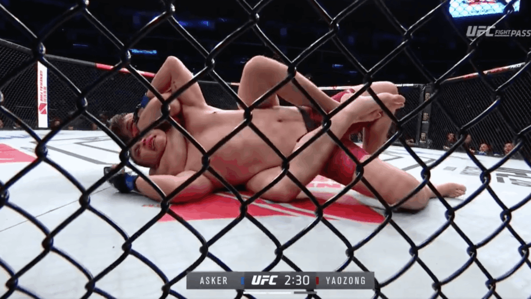Cyril Asker UFC soumission