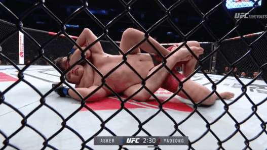 Cyril Asker UFC soumission