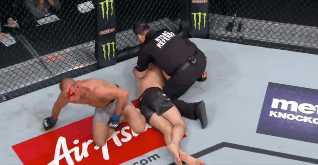 Georges St-Pierre Michael Bisping UFC 217