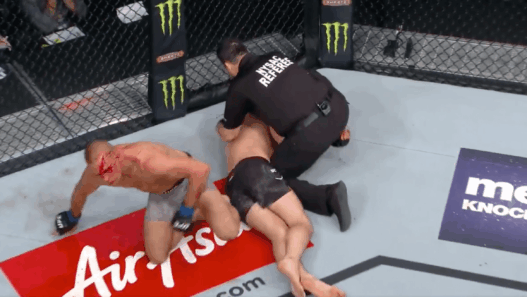 Georges St-Pierre Michael Bisping UFC 217