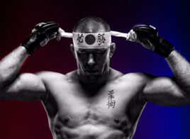 Georges St-Pierre UFC 217 Bisping