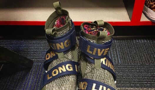 Long Live the King LeBron XV LeBron James