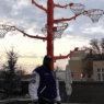 Shaquille O Neal Broken Rim Tree