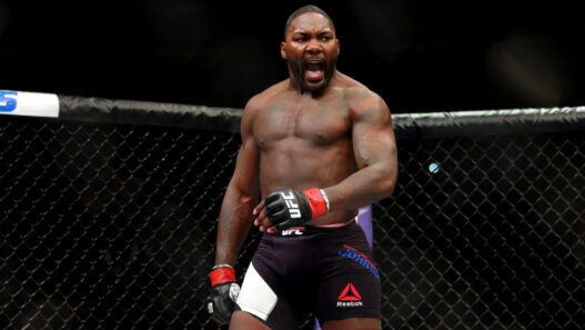 Anthony Johnson Francis Ngannou