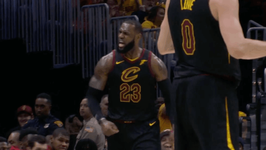 Cleveland Cavaliers Chicago Bulls LeBron James