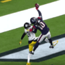 DeAndre Hopkins Steelers