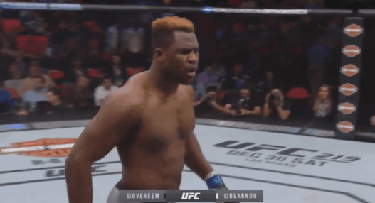 Francis Ngannou Alistair Overeem KO UFC 218
