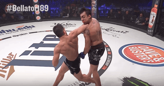 Gaston Bolanos KO Bellator 189