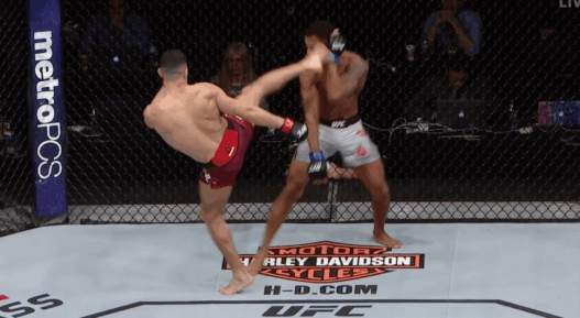 KO Nordine Taleb UFC Winnipeg