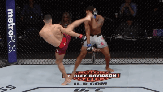 KO Nordine Taleb UFC Winnipeg