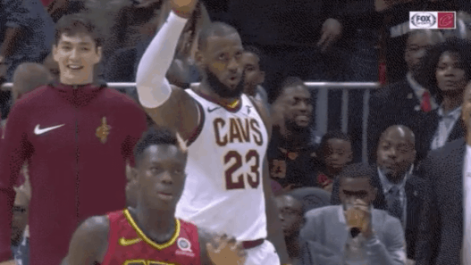 LeBron James Dikembe Mutombo