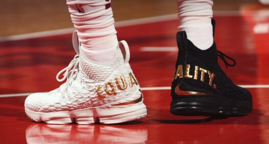 LeBron James Equality