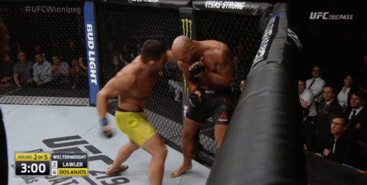 Rafael Dos Anjos Robbie Lawler