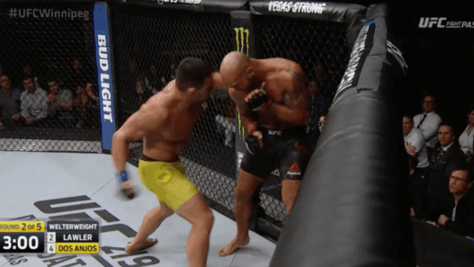 Rafael Dos Anjos Robbie Lawler