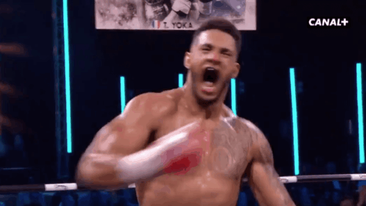 Tony Yoka TKO 3e round Ali Baghouz