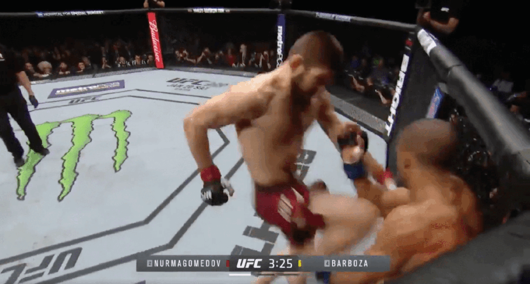 UFC 219 Khabib Nurmagomedov Edson Barboza