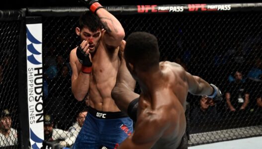 Israel Adesanya UFC 221